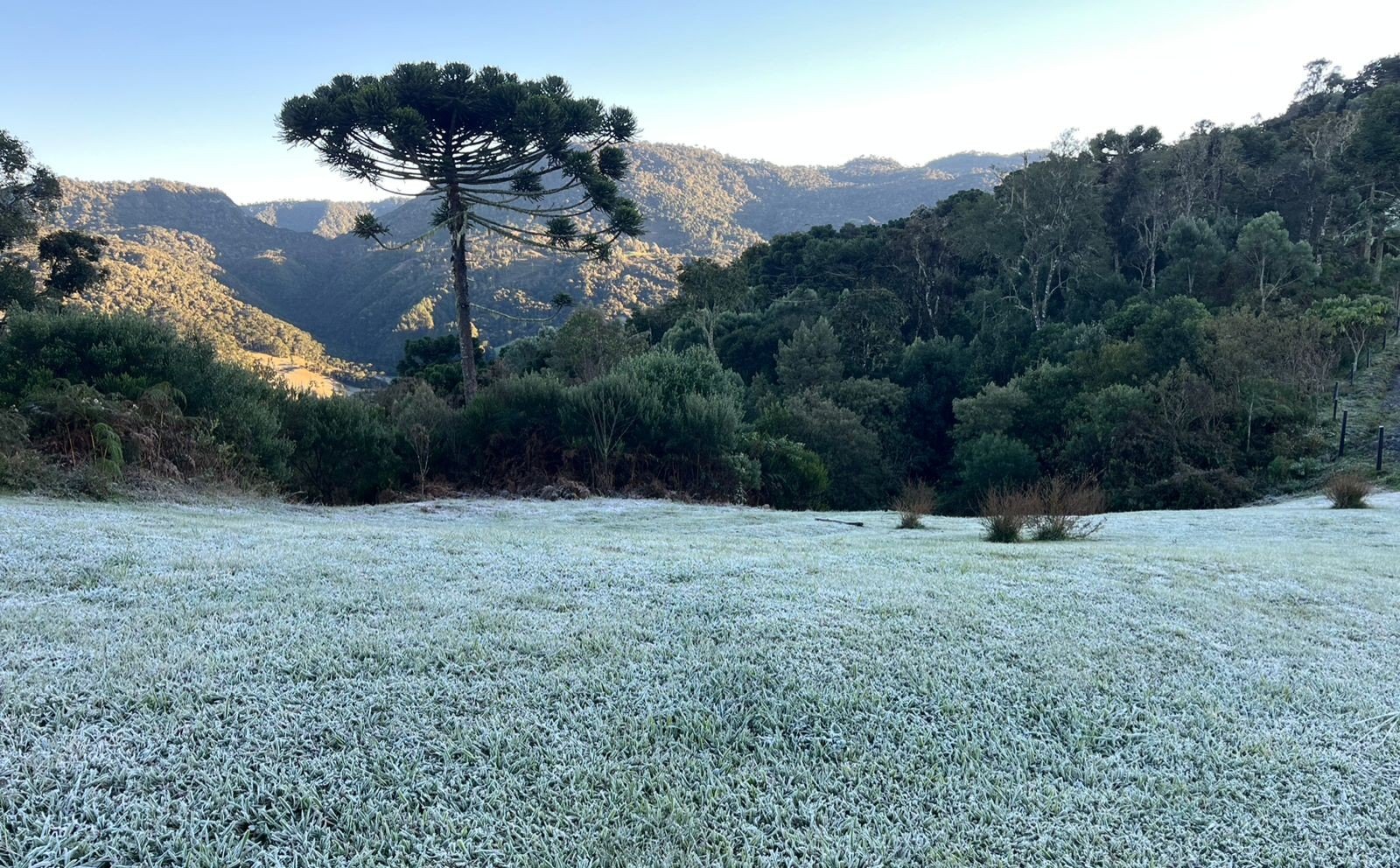 Capital nacional do frio abre inscrições para concurso com salários de até R$ 20 mil em SC; veja áreas