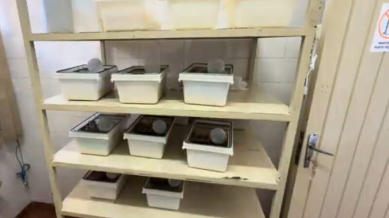 Laboratório que monitora febre maculosa e doença de Chagas está sem veterinário e registro há 5 anos, diz associação