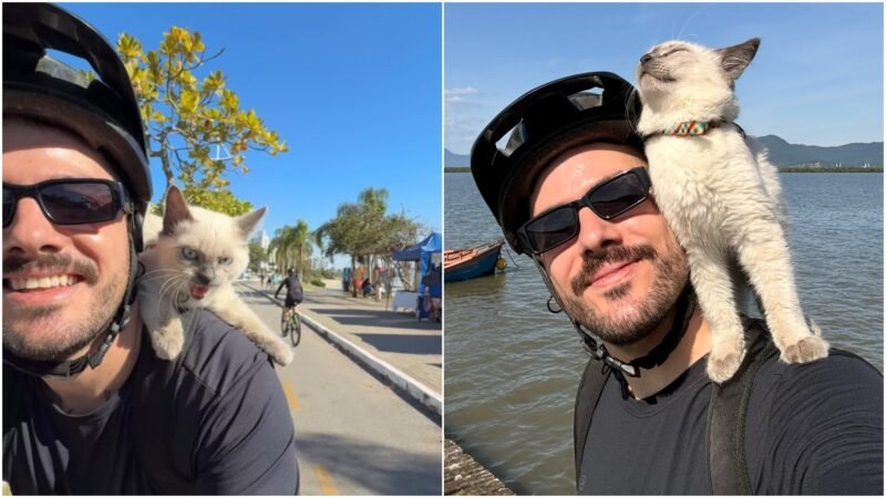 VÍDEO: Gato passeia de bicicleta nos ombros do tutor em SC e reações do animal viralizam: ‘soltando bafinho’