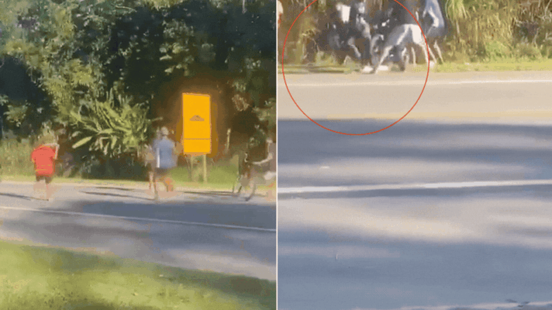 Polícia identifica grupo que derrubou casal de moto e agrediu vítimas em SP