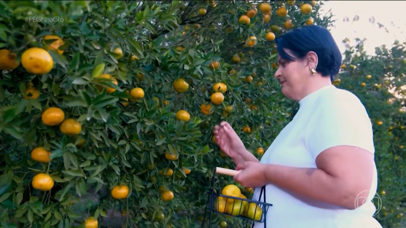 Após falência, casal reinventa empresa com produtos de mexerica e fatura R$ 400 mil