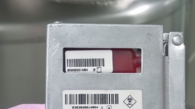 Camila Queiroz congelou células do cordão umbilical da filha: entenda como funciona a ‘poupança biológica’ que promete curar doenças