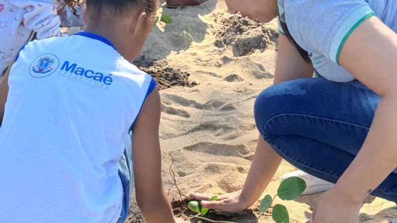 Praia do Pecado, em Macaé, recebe 10 mil mudas nativas para recuperar restinga