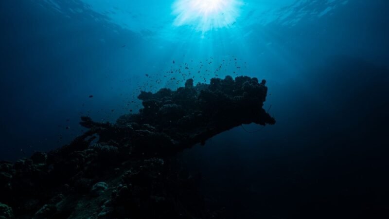Oceanos do mundo registram recorde de calor para junho