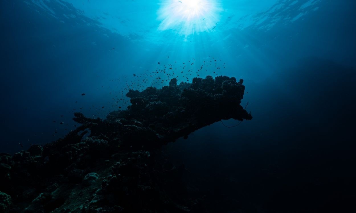 Oceanos do mundo registram recorde de calor para junho