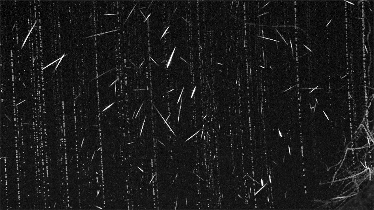 Pico da chuva de meteoros ocorre entre esta quinta e sexta; veja dicas para observar o fenômeno