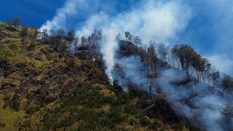 Indonésia fecha acesso ao Monte Bromo após avanço de incêndio florestal