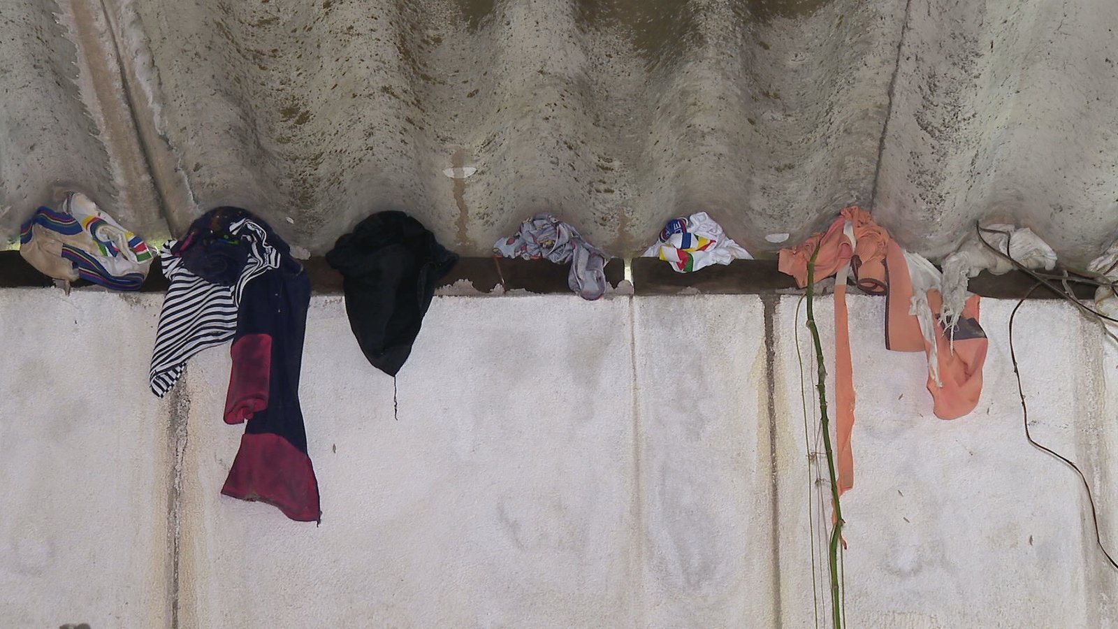 ‘Infestação’ de cobras assusta moradores de comunidade do Recife há quatro meses; VÍDEO