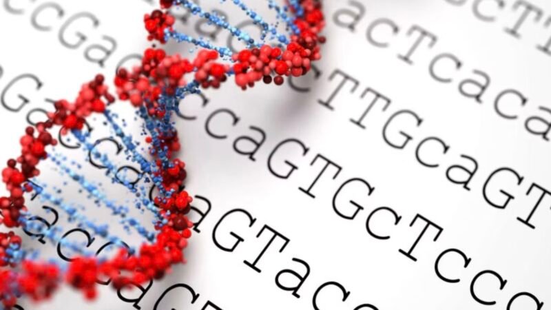 Exoma analisa apenas de 1% a 2% do DNA; genoma completo pode revelar alterações que o primeiro não detecta