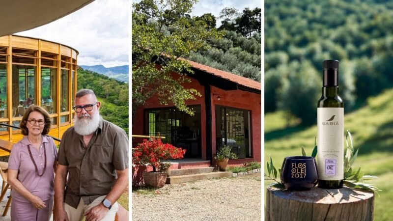 Azeite da Serra da Mantiqueira conquista prêmio internacional: ‘Estou me sentindo ganhando um Oscar’, diz produtor