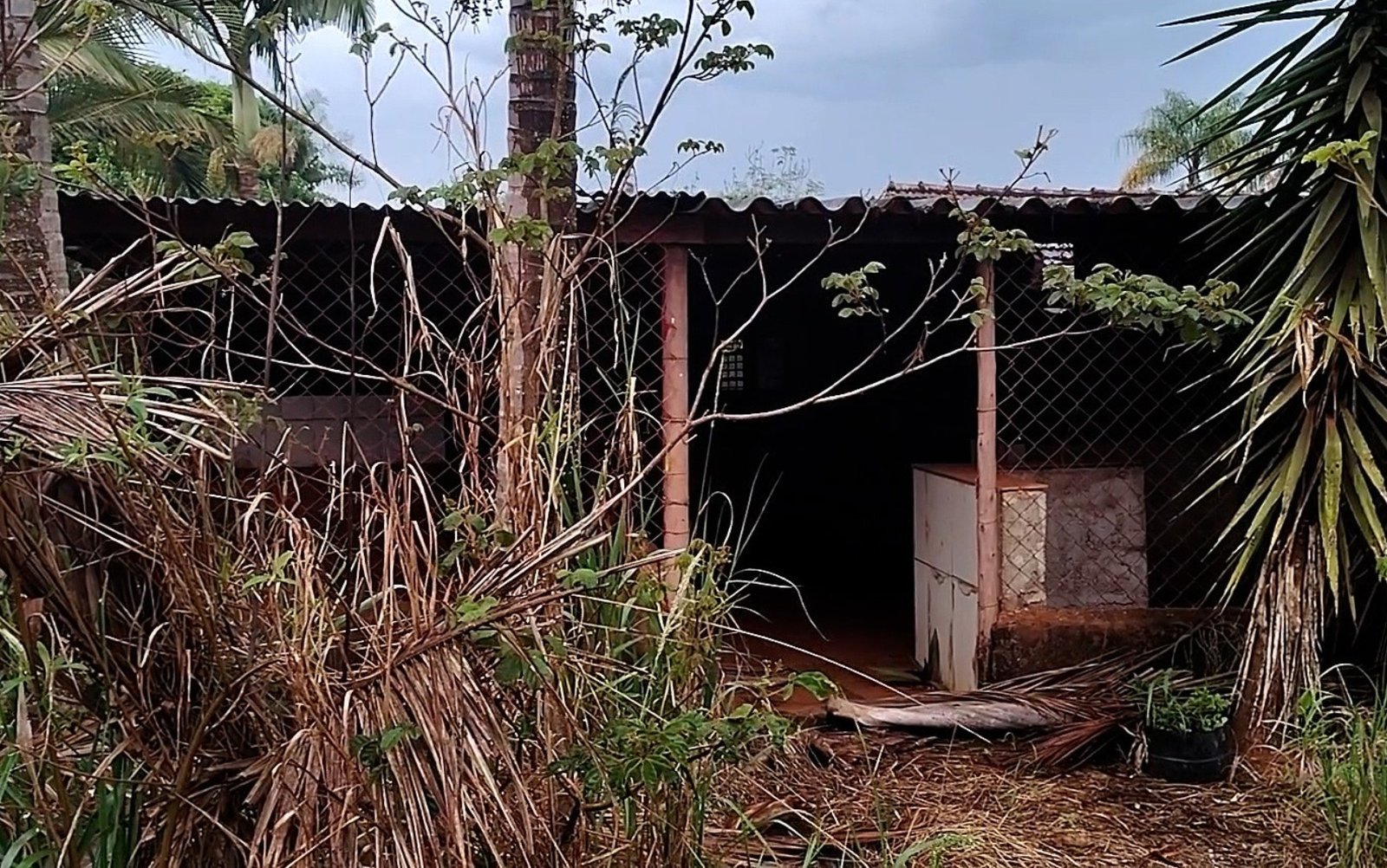 Vultos, barulhos sem explicação, sensação de ser observado: a história por trás de bar mal-assombrado no interior de SP