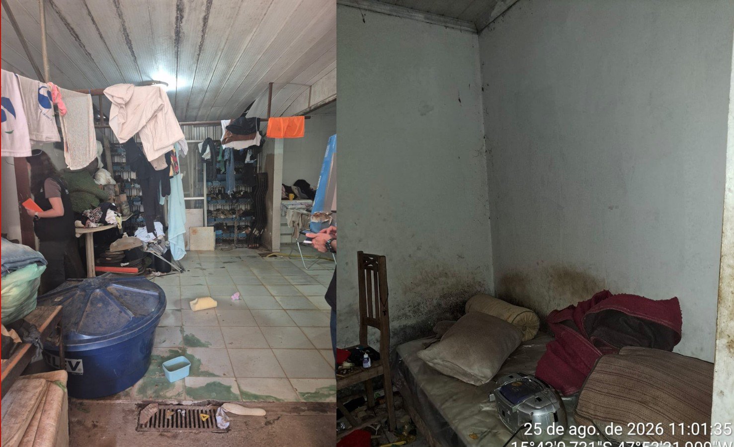 Resgatado após 28 anos em situação análoga à escravidão volta à casa dos patrões no DF: ‘Já tô velho, quero ficar aqui’; VÍDEO