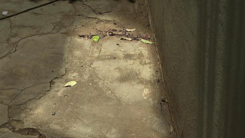 Imagem misteriosa em calçada atrai fiéis e intriga moradores no interior de SP; o que você vê?