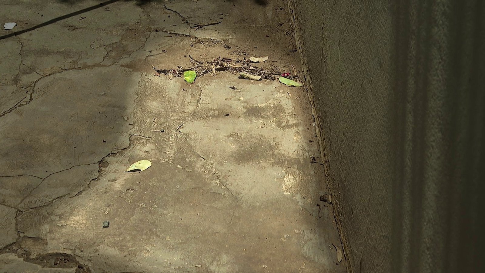 Imagem misteriosa em calçada atrai fiéis e intriga moradores no interior de SP; o que você vê?